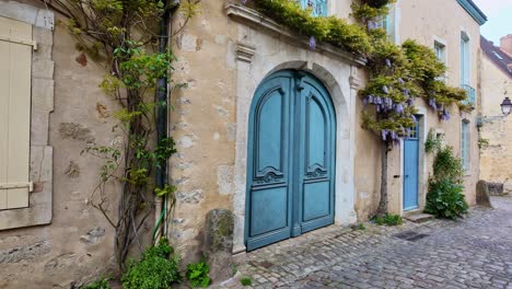 outside view about the stone cottage with blue door and some plants, le mans, france.