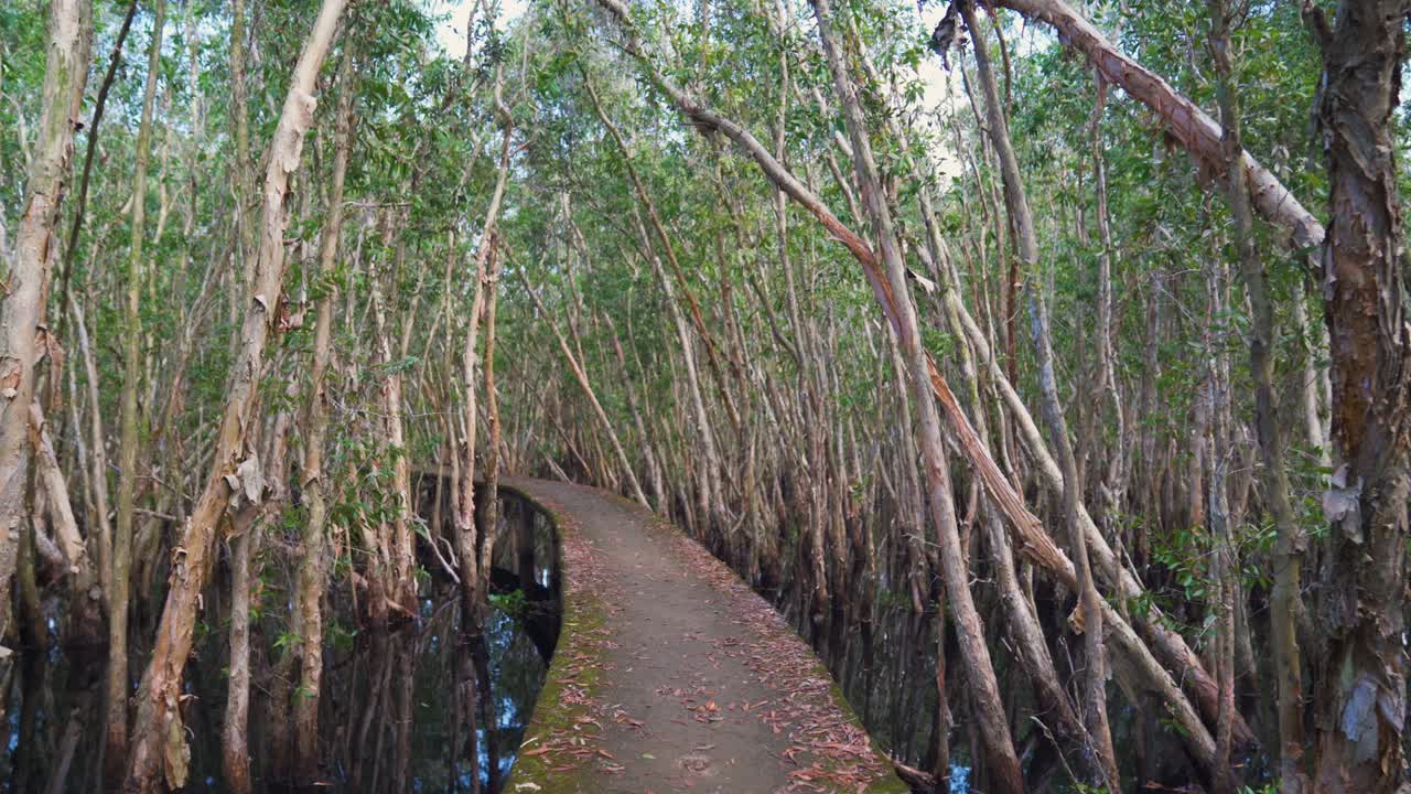 베트남의  라프에서 물 위에 떠다니는 숲을 가로질러 도로를 여행하고 있습니다.