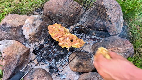 marinated chicken meat on the barbeque bbq cooking slow over charcoal