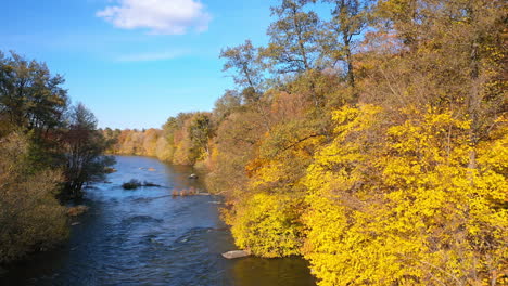 autumn yellow nature river landscapes. brown tree colors forests.
