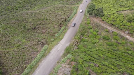 Toma-Aérea-De-Drones,-Cámara-Siguiendo-La-Conducción-De-Automóviles-En-Una-Carretera-Pavimentada-En-Una-Plantación-De-Té