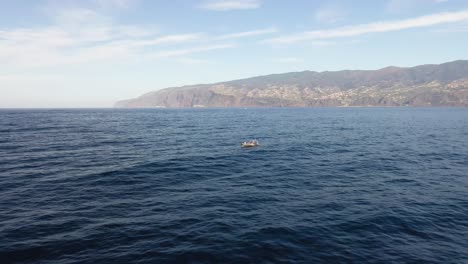 Un-Pequeño-Bote-Blanco-En-Medio-Del-Océano-Solo,-Rodeado-De-Agua-Y-La-Costa-De-Madeira-En-La-Distancia