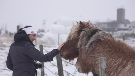 Mujer-Tocando-Caballos-Islandeses-En-Islandia