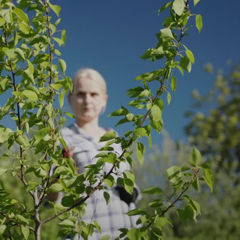 Woman-sprays-trees-in-garden-pest-treatment-2