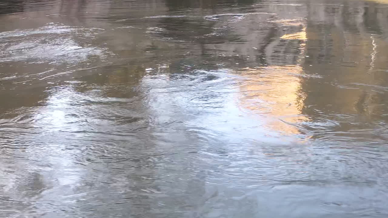 화창한 날 평화로운 강물에 반사되는 아름다운 도시