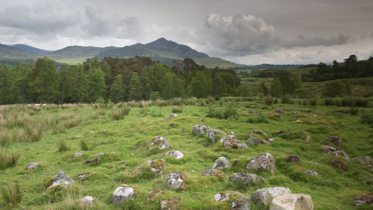 piedras de hierba escocesa 00