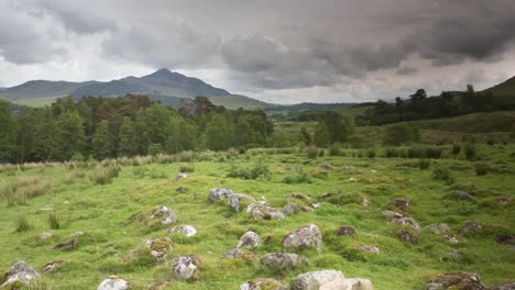 Scottish-Grass-Stones-00