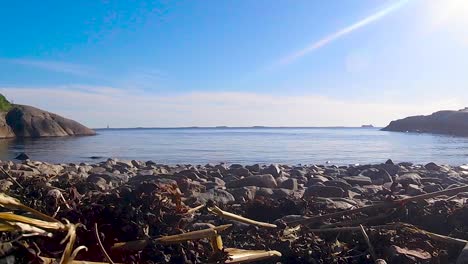 rocky scandinavian beach with driftwood and flying birds on sunny day, static shot