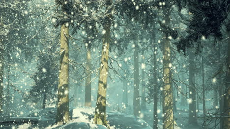 snowfall among tall evergreen trees in a tranquil winter forest