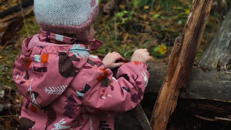 a young child plays in the woods with trees