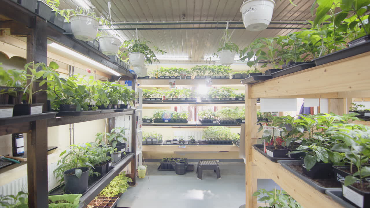 Vertical farming nursery space gliding tracking shot