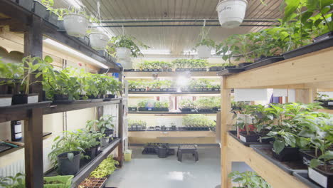 vertical farming nursery space gliding tracking shot