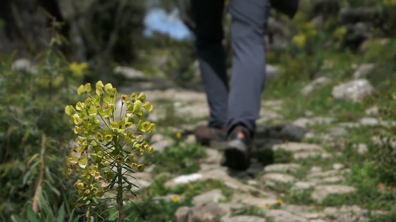 excursionista masculino pasando por una flor en un sendero de senderismo y disfrutando al aire libre