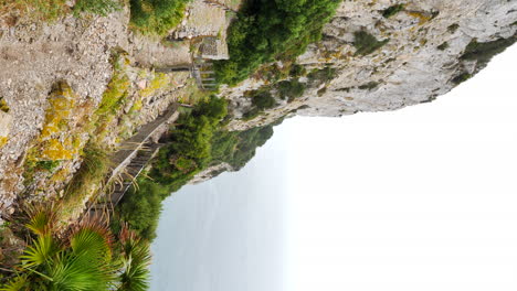 - escalones mediterráneos verticales en la reserva natural de la roca superior, gibraltar