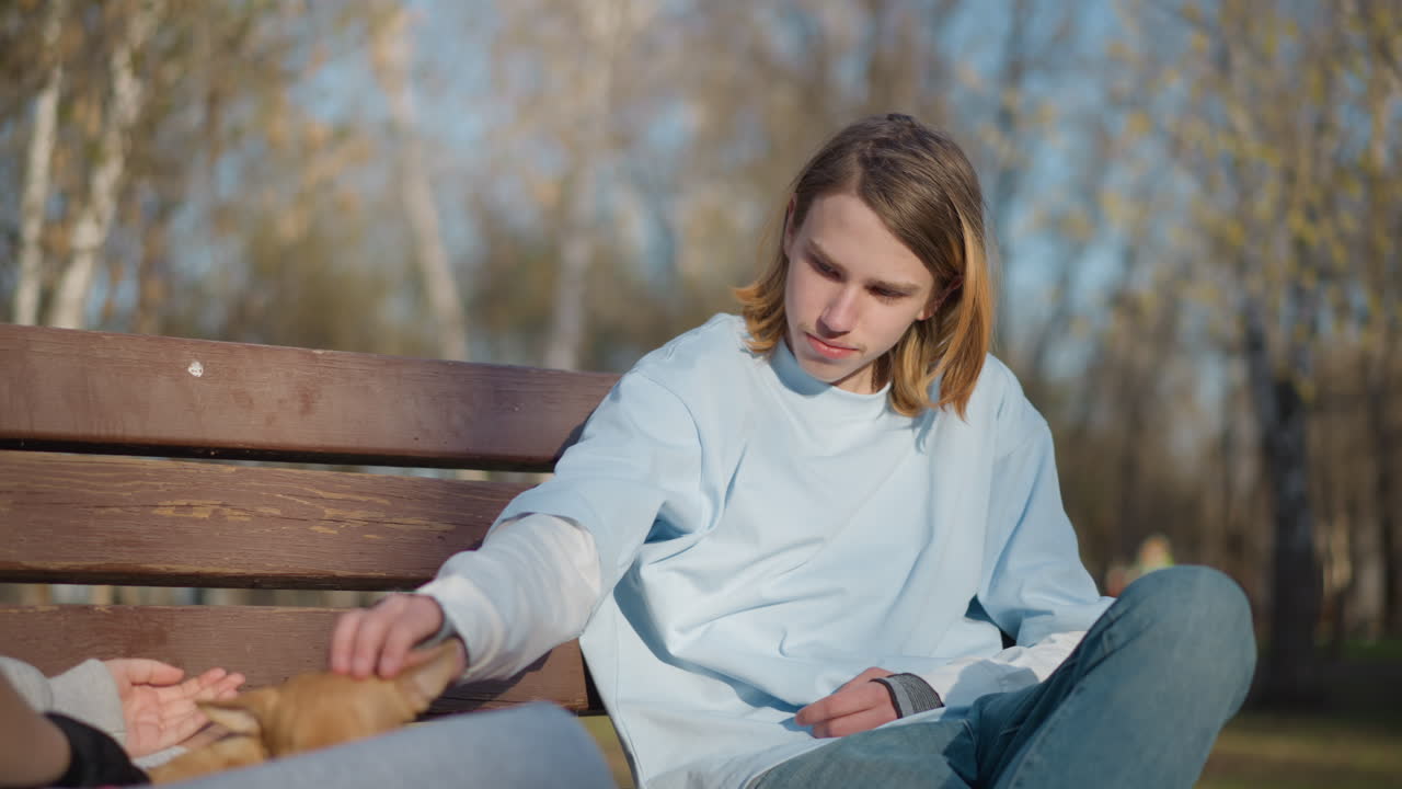 Доверие между мальчиком и щенком на природе: расслабляющая сцена на открытом воздухе с участием ребенка и его преданного пса, спокойный солнечный парк, где мальчик и его верный пес делят момент доверия