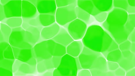 fondo de ondas cáusticas verdes. abstracto orgánico blanco agua cáustica líquido patrón de textura ondulada en un fondo minimalista verde. agua azul pura y limpia en la piscina. bucle de animación 3d. 4k