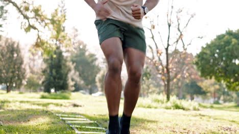 nature fitness, speed ladder