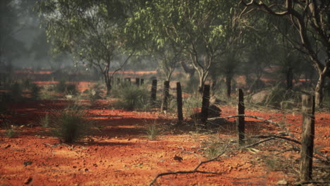 barbed-wire-fence-in-deserted-landscape