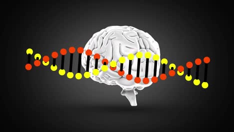 digital animation of dna structure and human brain spinning against black background