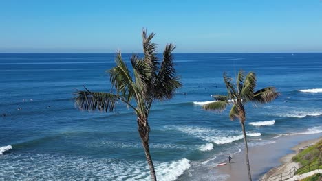 Drone-shot-panning-up-and-over-three-palm-trees-to-reveal-surfers-surfing-on-a-beautiful-winter-day-in-Southern-California