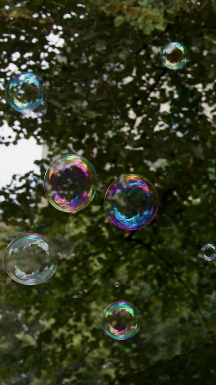 Bolle di sapone iridescenti e colorate fluttuano attraverso il lussureggiante fogliame verde del parco durante una luminosa giornata estiva.