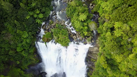 vista aérea superior del río en el bosque verde moviéndose a la cascada en nueva zelanda