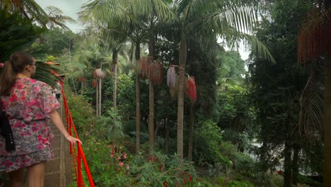 las imágenes fueron filmadas en madeira, portugal, en el jardín tropical de monte palace.