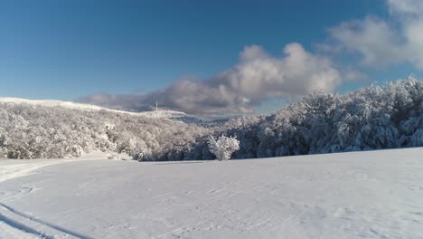 snowy mountain forest landscape