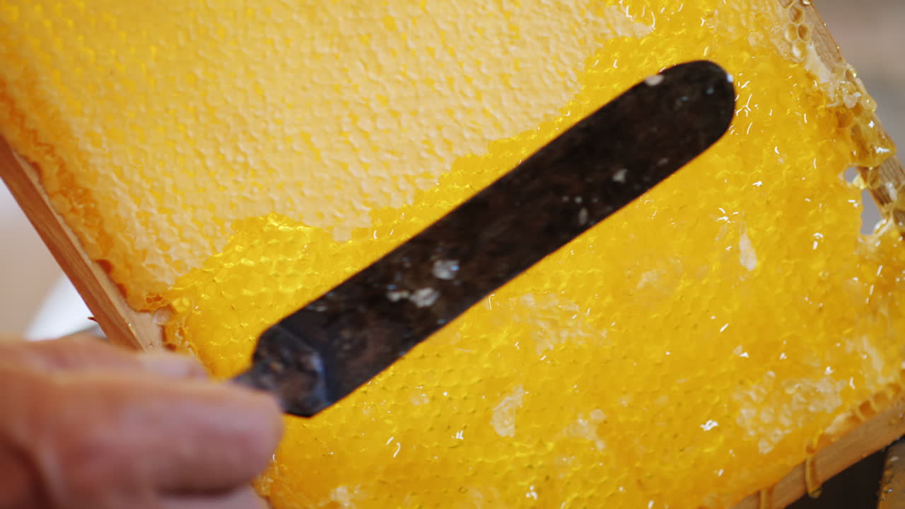양봉가는 벌꿀 4k 비디오를 펌핑하기 위해 벌집으로 프레임을 청소합니다.