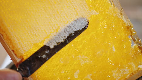 the beekeeper cleans the frame with honeycombs for pumping honey 4k video