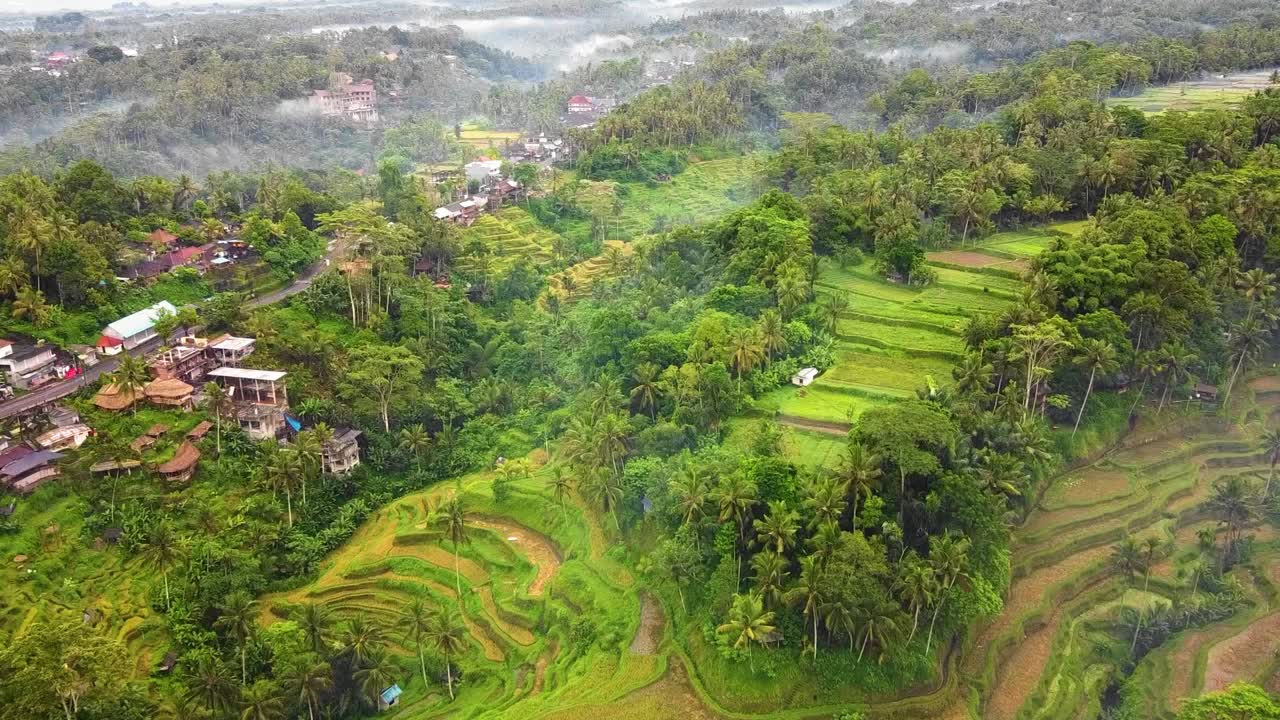 bellas imágenes cinematográficas de ubud, bali drone con exótica terraza de arroz, pequeñas granjas, aldeas y plantaciones agroforestales