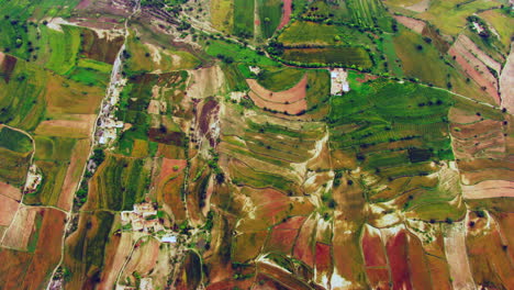 Aerial-view-of-agricultural-crops-growing-on-farmland,-India