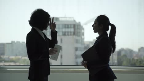 smiling professional businesswomen talking