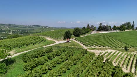 Giant walnut Grinzane Cavour, UNESCO site, Cuneo, Piedmont, Italy. 4k aerial view of the castle together with the Vineyard. Langhe-Roero and Monferrato. Flying backward from the giant walnut.