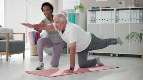 senior man exercising with physical therapist