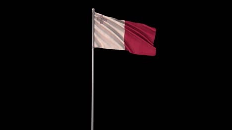 malta flag with alpha channel, 4k video is transparent