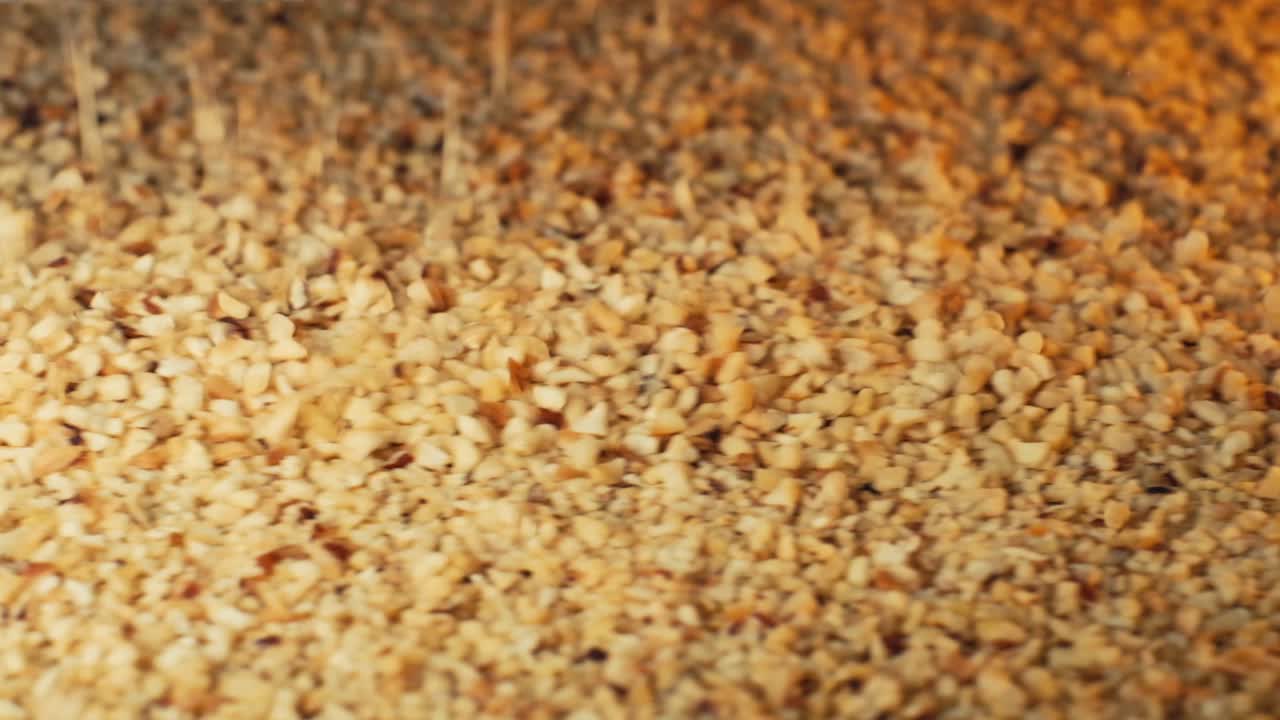 헤이즐넛 가공 공장