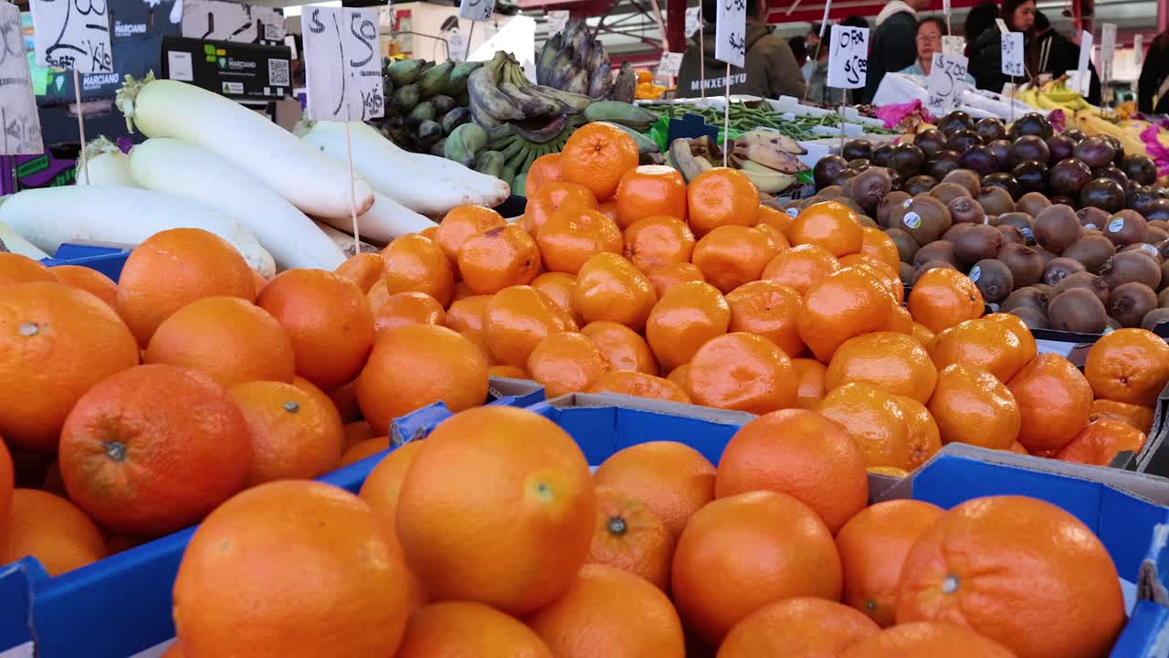 전시된 다양한 과일과 채소