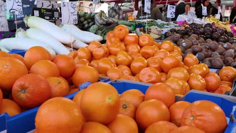 variedad de frutas y verduras en exhibición