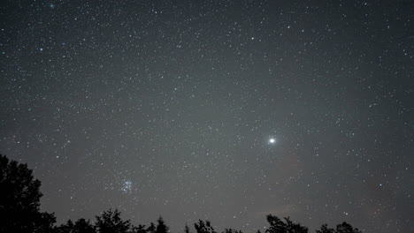 starry night sky with bright celestial bodies, tree silhouettes on horizon, serene, timelapse