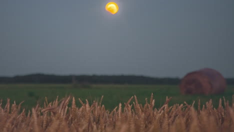 Lapso-De-Tiempo-De-Luna-Amarilla-Descendiendo-Sobre-Campos-Con-Pacas-De-Heno