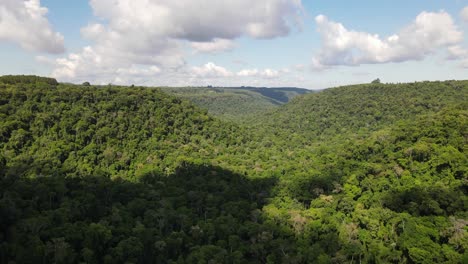 Drone-advances-through-the-jungle-under-a-stunning-blue-sky,-capturing-the-pristine-beauty-of-the-lush-greenery-and-the-vivid-heavens-above