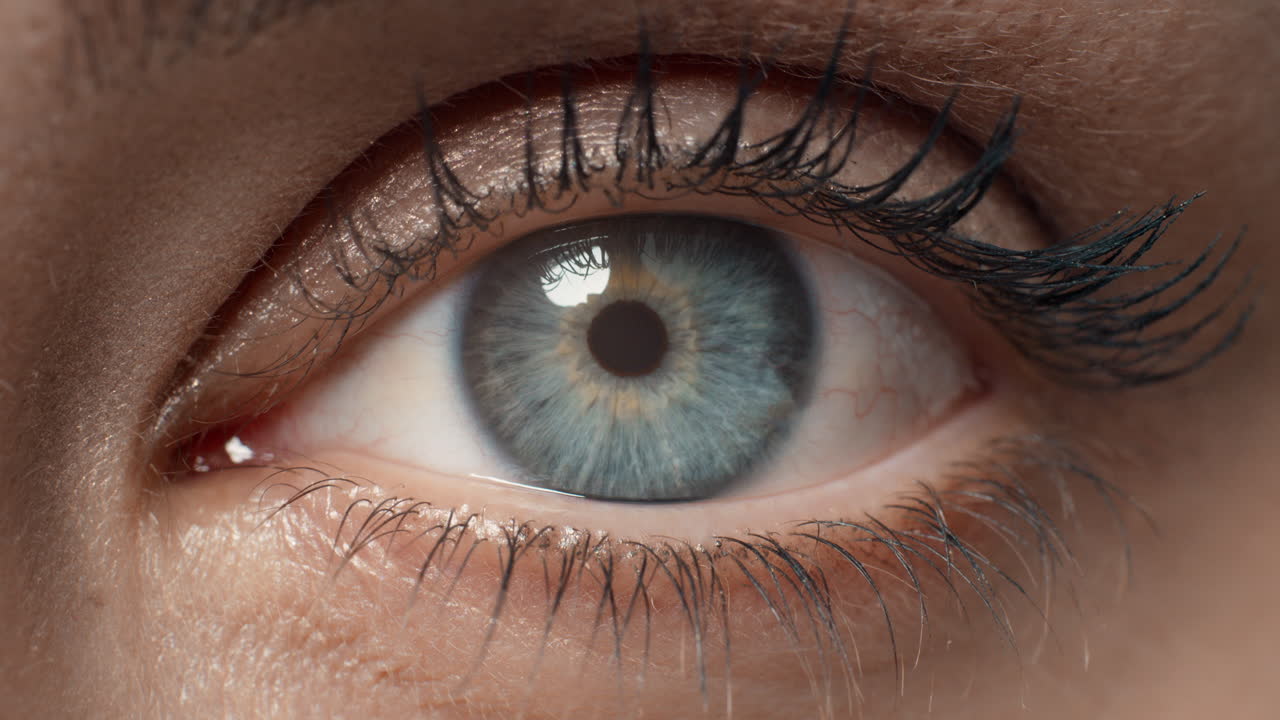 가까운 거시 눈 개방 인간 아이리스 아름다운 파란 눈 건강한 시력 인식 개념