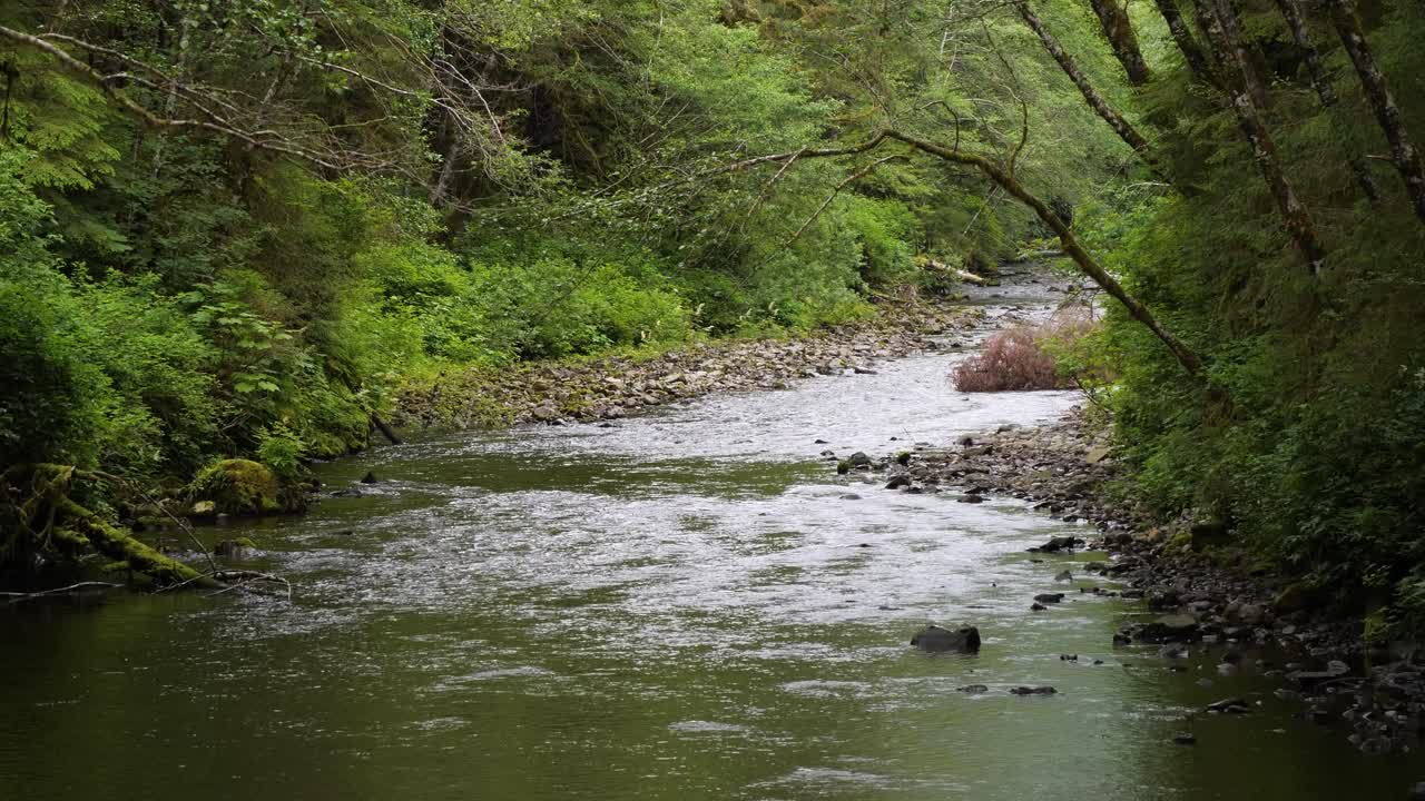 Indian river, Sitka National Historical Park, Alaska.Indian River is a large salmon-spawning stream.