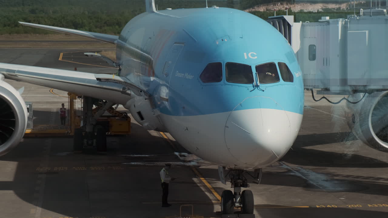 самолет у ворот.