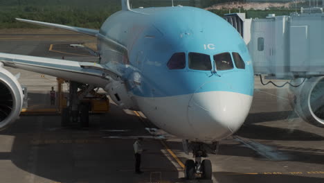 avión en la puerta