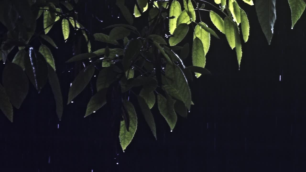 entorno oscuro, gotas de agua brillantes, paisaje en cámara lenta