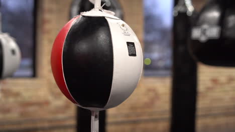 punching bag in a boxing gym