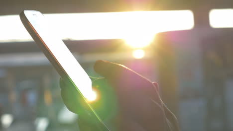 Female-hands-typing-on-cell-against-evening-sunshine