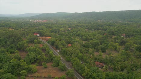 drone forestal disparado de derecha a izquierda